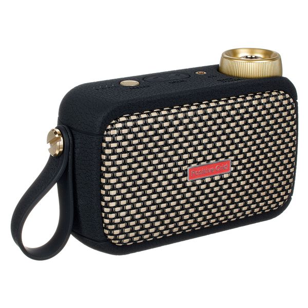 Positive Grid Spark Go BK